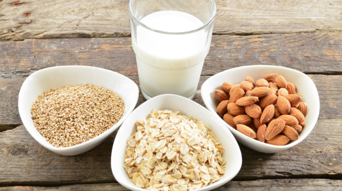 High protein foods