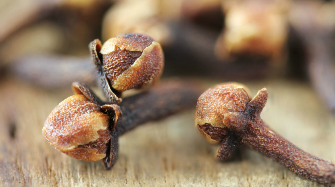 Tough Flower Clove - Spice